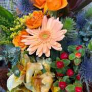 ヒメ日記 2025/11/29 04:43 投稿 りおな 丸妻 横浜本店