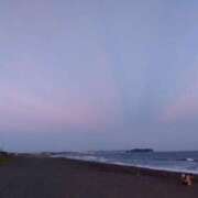 ヒメ日記 2025/11/29 11:47 投稿 りおな 丸妻 横浜本店