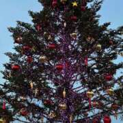 ヒメ日記 2025/12/02 06:58 投稿 りおな 丸妻 横浜本店