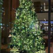 ヒメ日記 2025/12/03 06:13 投稿 りおな 丸妻 横浜本店