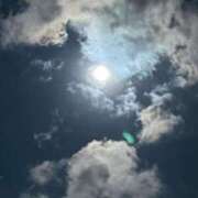 ヒメ日記 2026/01/13 06:19 投稿 りおな 丸妻 横浜本店