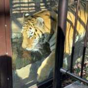 ヒメ日記 2026/01/27 06:29 投稿 りおな 丸妻 横浜本店