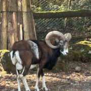 ヒメ日記 2026/02/03 04:41 投稿 りおな 丸妻 横浜本店