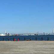 ヒメ日記 2026/02/20 05:50 投稿 りおな 丸妻 横浜本店