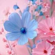 さえ 🌸18時までに変更しました🌸 One More 奥様　西船橋店