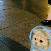 ヒメ日記 2025/09/10 18:38 投稿 相良彩未 五十路マダムエクスプレス横浜店（カサブランカグループ）