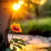 ヒメ日記 2025/09/27 08:58 投稿 相良彩未 五十路マダムエクスプレス横浜店（カサブランカグループ）