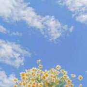 ヒメ日記 2025/09/30 11:44 投稿 相良彩未 五十路マダムエクスプレス横浜店（カサブランカグループ）