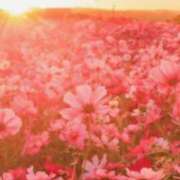 ヒメ日記 2025/10/02 14:20 投稿 相良彩未 五十路マダムエクスプレス横浜店（カサブランカグループ）