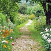 ヒメ日記 2025/10/03 08:22 投稿 相良彩未 五十路マダムエクスプレス横浜店（カサブランカグループ）