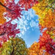 ヒメ日記 2025/10/17 08:52 投稿 相良彩未 五十路マダムエクスプレス横浜店（カサブランカグループ）