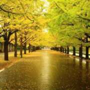 ヒメ日記 2025/10/24 08:56 投稿 相良彩未 五十路マダムエクスプレス横浜店（カサブランカグループ）