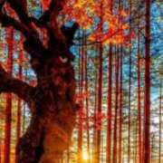 ヒメ日記 2025/10/28 13:58 投稿 相良彩未 五十路マダムエクスプレス横浜店（カサブランカグループ）