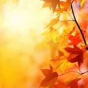 ヒメ日記 2025/10/29 09:08 投稿 相良彩未 五十路マダムエクスプレス横浜店（カサブランカグループ）