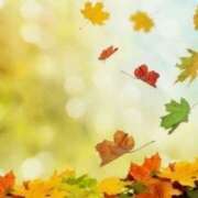 ヒメ日記 2025/11/03 09:00 投稿 相良彩未 五十路マダムエクスプレス横浜店（カサブランカグループ）