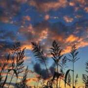 ヒメ日記 2025/11/13 09:38 投稿 相良彩未 五十路マダムエクスプレス横浜店（カサブランカグループ）