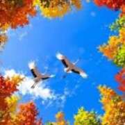 ヒメ日記 2025/11/14 14:48 投稿 相良彩未 五十路マダムエクスプレス横浜店（カサブランカグループ）