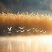 ヒメ日記 2025/11/28 08:12 投稿 相良彩未 五十路マダムエクスプレス横浜店（カサブランカグループ）