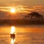 相良彩未 お疲れさまです 五十路マダムエクスプレス横浜店（カサブランカグループ）