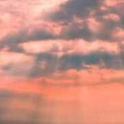 ヒメ日記 2025/12/17 08:56 投稿 相良彩未 五十路マダムエクスプレス横浜店（カサブランカグループ）