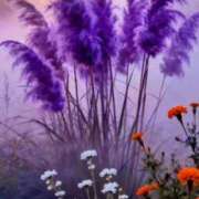 ヒメ日記 2026/01/14 10:12 投稿 相良彩未 五十路マダムエクスプレス横浜店（カサブランカグループ）