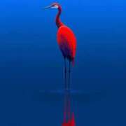 相良彩未 ありがとうございました 五十路マダムエクスプレス横浜店（カサブランカグループ）