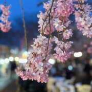 ヒメ日記 2026/03/22 23:27 投稿 藤岡 鶯谷人妻城