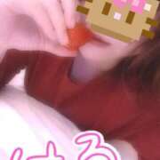 きょう なぜ(￣□￣;)!! 妻天 日本橋店