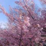 ヒメ日記 2026/03/19 12:53 投稿 きょう 妻天 日本橋店