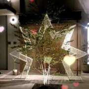 ヒメ日記 2026/04/09 04:15 投稿 きょう 妻天 日本橋店