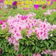 ヒメ日記 2026/04/24 14:23 投稿 きょう 妻天 日本橋店
