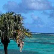 すい お久しぶりです🙂‍↕️ Profile～プロフィール～（那覇）