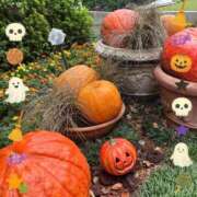 ヒメ日記 2025/10/31 21:03 投稿 りん 出会い系人妻ネットワーク 五反田～品川編