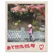 ヒメ日記 2025/11/08 11:16 投稿 りん 出会い系人妻ネットワーク 五反田～品川編