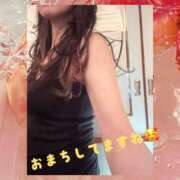 ヒメ日記 2025/11/14 11:31 投稿 りん 出会い系人妻ネットワーク 五反田～品川編