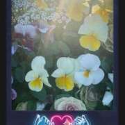 りん 参加💋 出会い系人妻ネットワーク 五反田～品川編