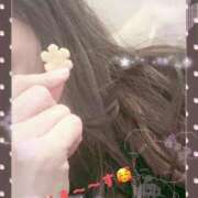 ヒメ日記 2025/12/07 20:24 投稿 りん 出会い系人妻ネットワーク 五反田～品川編