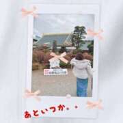 ヒメ日記 2025/12/26 09:46 投稿 りん 出会い系人妻ネットワーク 五反田～品川編