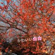 ヒメ日記 2026/02/19 14:07 投稿 りん 出会い系人妻ネットワーク 五反田～品川編