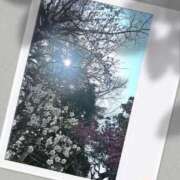 ヒメ日記 2026/03/05 21:15 投稿 りん 出会い系人妻ネットワーク 五反田～品川編