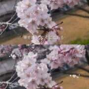 ヒメ日記 2026/03/26 11:28 投稿 りん 出会い系人妻ネットワーク 五反田～品川編