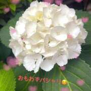 ヒメ日記 2026/05/29 09:02 投稿 りん 出会い系人妻ネットワーク 五反田～品川編