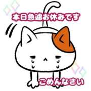 ヒメ日記 2025/11/17 16:22 投稿 つばき 人妻・若妻デリヘル レディプレイス