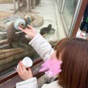 さくらるい 知らなかった🐟 イクイクサークル鶯谷店