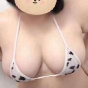オリーブ 出勤🤍 ダイナマイト（鶯谷）