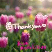 ヒメ日記 2026/03/28 05:16 投稿 八乃 縁(はちのゆかり) 五十路マダムエクスプレス厚木店(カサブランカグループ)