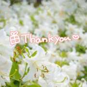 ヒメ日記 2026/07/12 23:26 投稿 八乃 縁(はちのゆかり) 五十路マダムエクスプレス厚木店(カサブランカグループ)