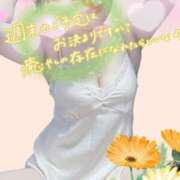 ヒメ日記 2026/10/10 12:08 投稿 八乃 縁(はちのゆかり) 五十路マダムエクスプレス厚木店(カサブランカグループ)