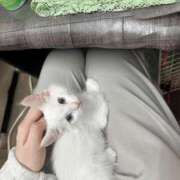 ヒメ日記 2025/09/25 13:59 投稿 そら 丸妻 池袋店