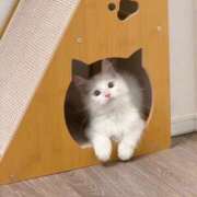 そら 見つけて 丸妻 池袋店